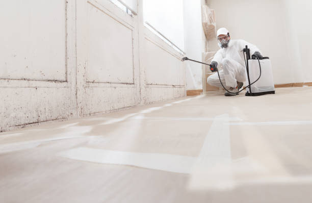 24/7 Emergency Mold Remediation experts in Woodbridge, NJ