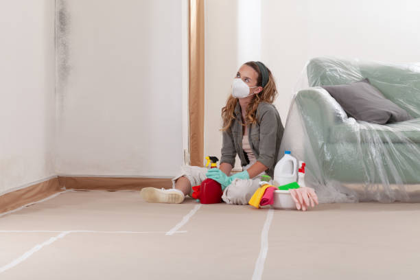 Reliable Mold Remediation contractor in Woodbridge, NJ by Mold Remediation HQ